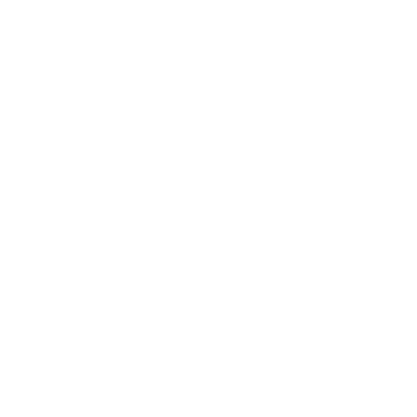 Budget Icon