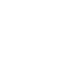 Pro Services Icon