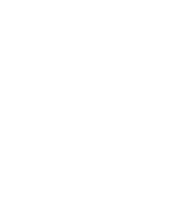 Triage Icon
